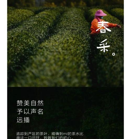 美丽的春日