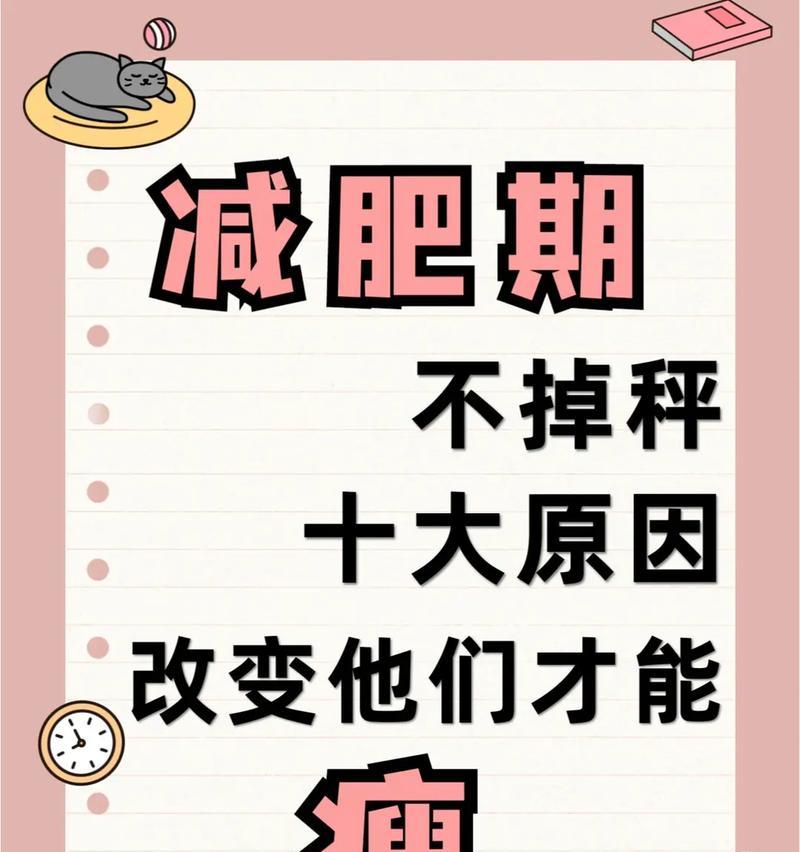 踏上通往彼岸的路（努力与坚持的力量）