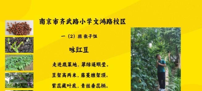 一生幸福的回忆（一个人的成长故事）