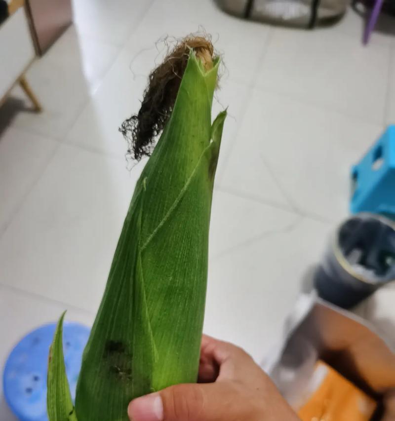以劳动的果实为主题的小故事——勤劳之手，收获之心（一位年迈农夫的劳动故事）