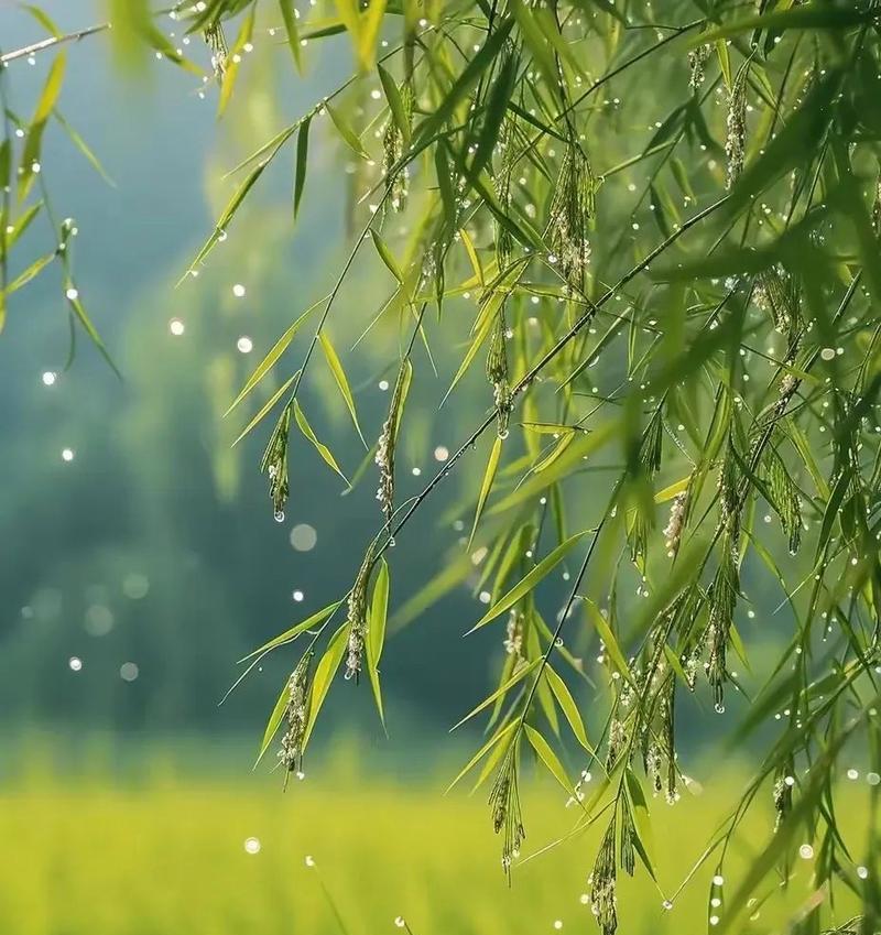 梦中诗词（一场唤醒青春的梦境）