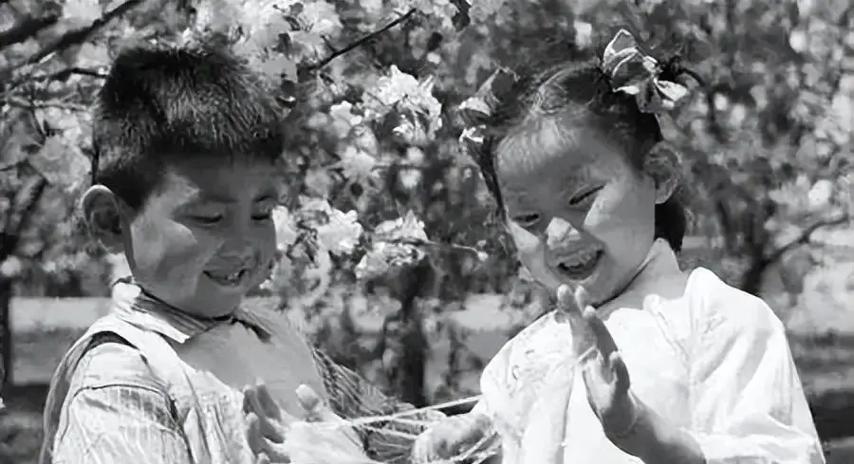 童年花园：恬静的角落