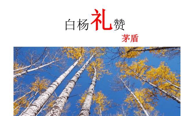 白杨的传承（坚守初心，追逐梦想）