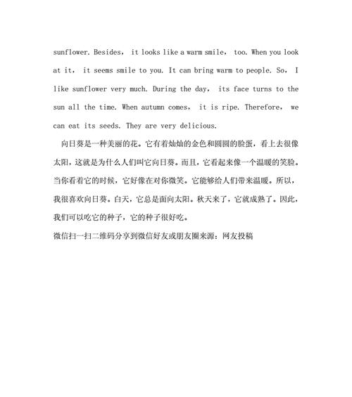 一只向日葵和它的主人（一只向日葵和它的主人）