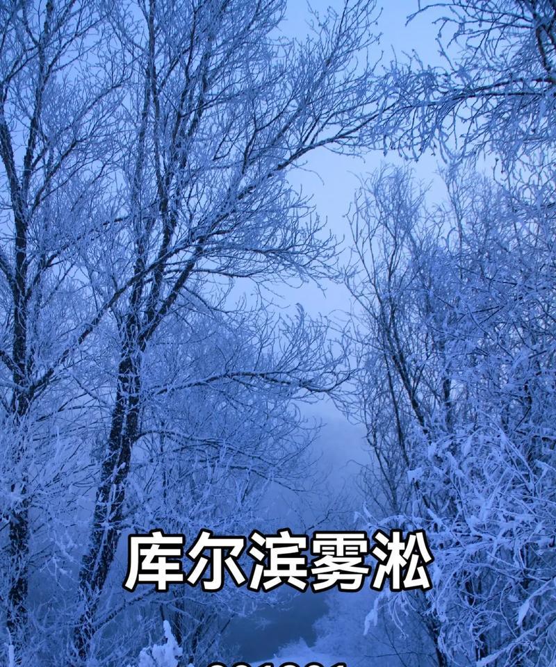我的生命之溪（平凡中的宝藏）