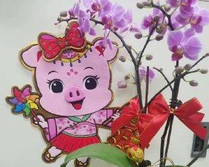 每天都有无限乐趣（如何从生活中寻找乐趣）