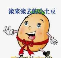 滚啊滚，土豆啊土豆（从地里到餐桌的奇妙旅程）