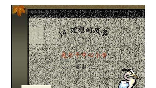执念与自由（执念与自由）
