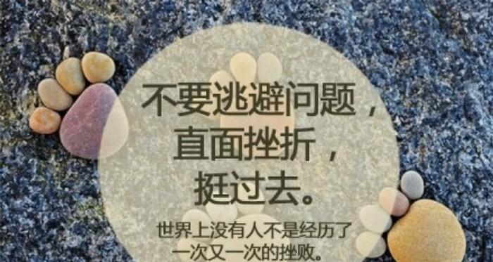 TheArtofOvercomingSetbacks（HowOneWomanTurnedAdversityintoTriumph）
