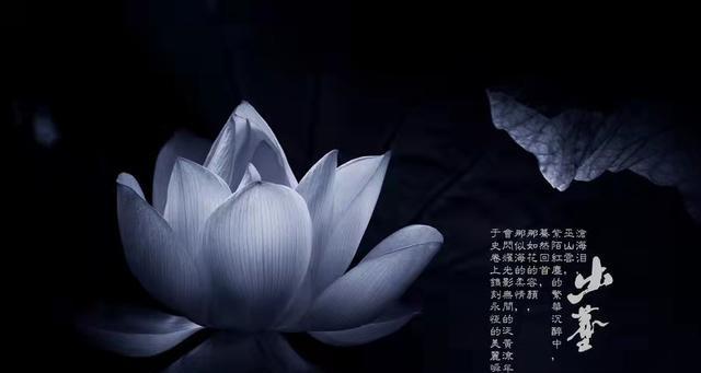 用努力铸就人生（奋斗无极限）