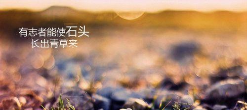 勇往直前，不畏艰险（用坚定的心态克服困难）