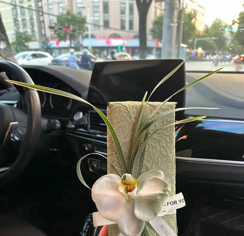 父爱如山——我最亲爱的爸爸