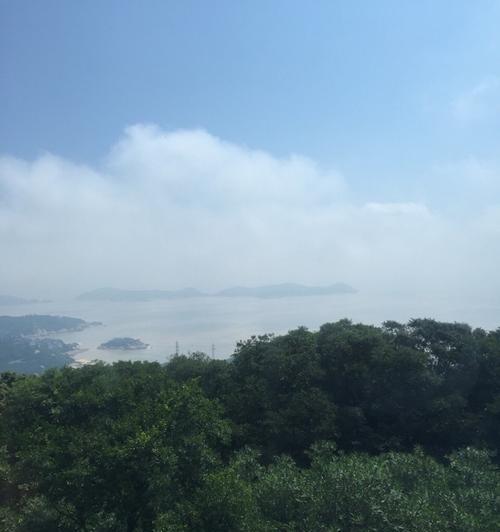 美丽的彼岸花海（邂逅花海，遇见心动）