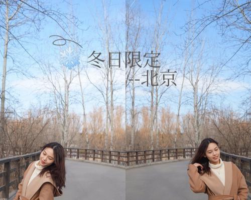 明媚的冬日（欢乐的趣事）