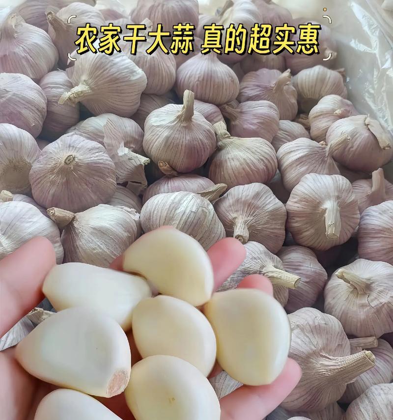 小帮手的奇妙之旅（一个被遗弃的机器人的成长故事）