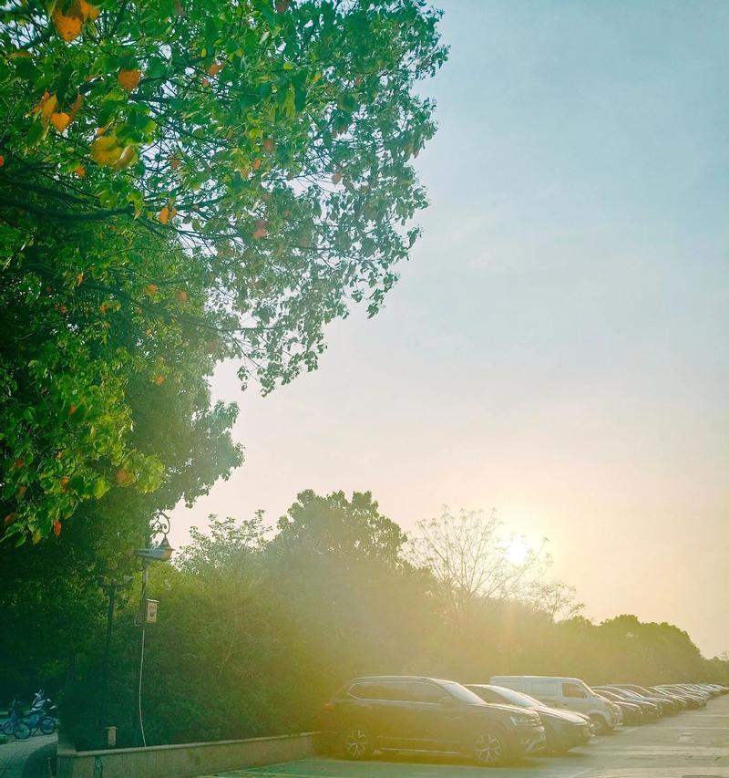 探寻自然的奥秘（探寻自然的奥秘）