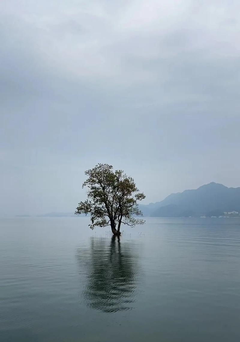 聆听大自然的语言（一个人从繁华城市到深山里，学会了怎样聆听大自然）