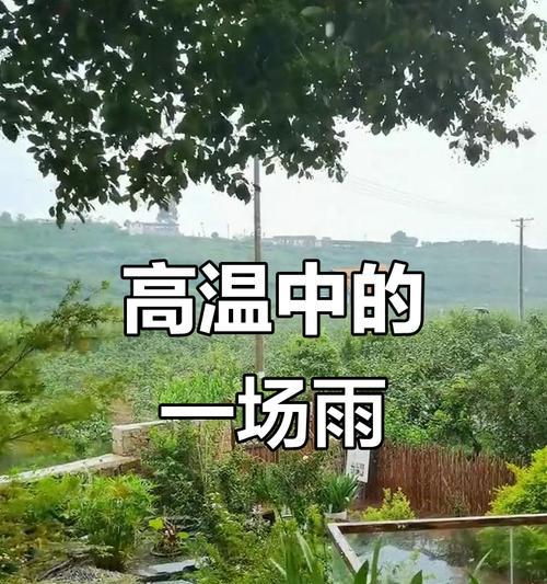 夏天里的怀念（一段青涩的恋爱经历）