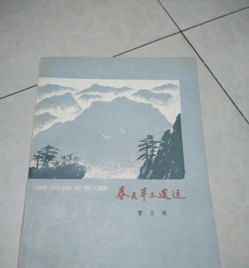 暖阳照进心房（一场意外邂逅让我重新找回了生命的意义）