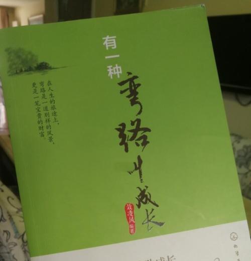 迷茫的路上，坚定前行（一个人的青春，一个人的成长）
