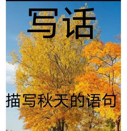 秋天，我为你而生。（一个沉静而美丽的季节）