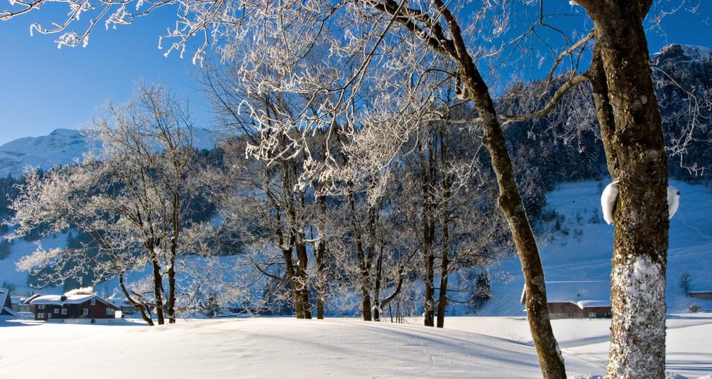 TheWinterMorning（TheUnforgettableExperienceofaLifetime）