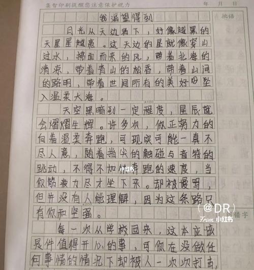 梦想成长路（从少年到青年，我的成长故事）