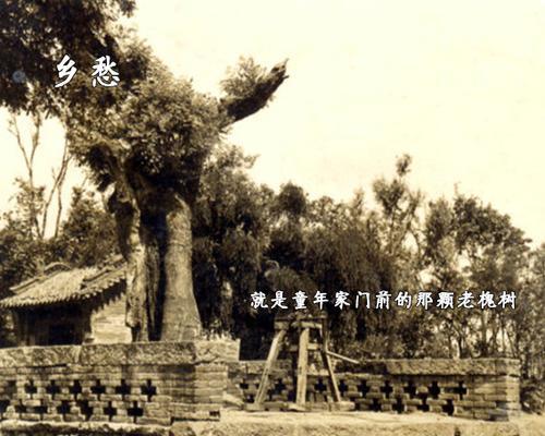 美丽家乡，幸福你我