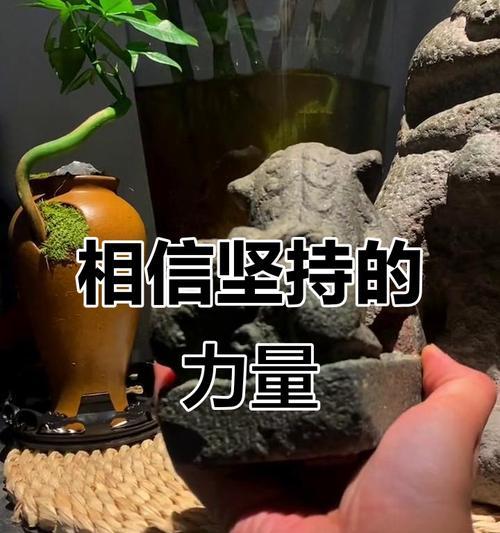 如何打破自己的局限，克服所有的困难