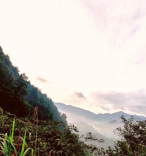 清流之旅（自然的魅力）