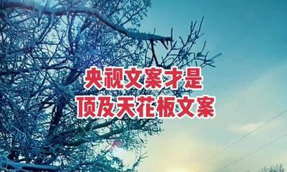 当时间停滞在最美好的瞬间（当时间停滞在最美好的瞬间）