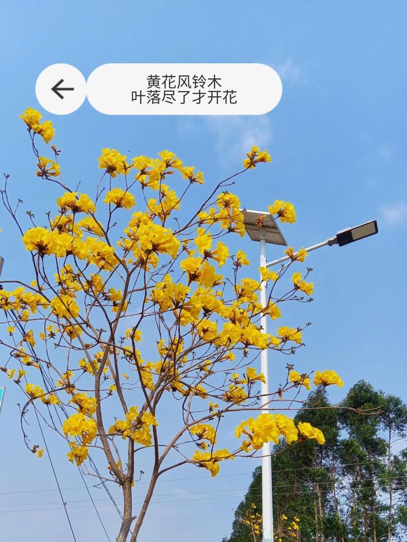 温馨细节（当你感到孤单时）