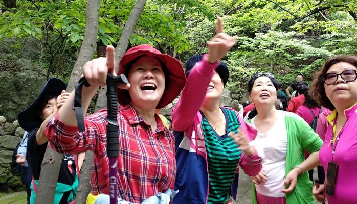 相伴而行（一路同行的人生旅程）